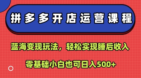 拼多多开店运营课程：蓝海变现玩法，轻松实现睡后收入，零基础小白也可日入5张-鲁班聊项目