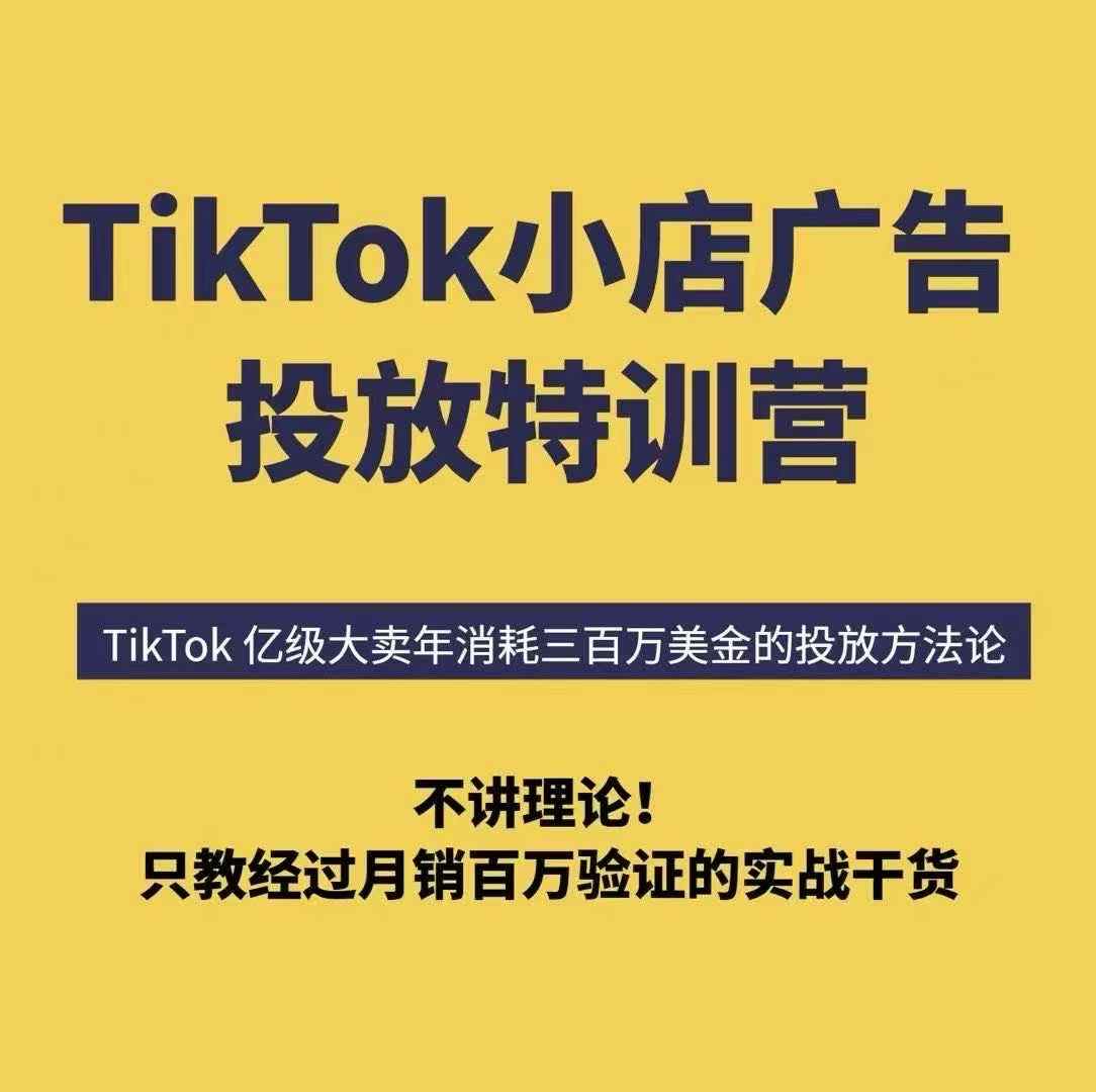 TikTok小店广告投放特训营，6天破局计划专治各种“投不动”，教你经过月销百万验证的实战干货-鲁班聊项目