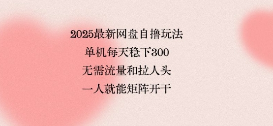 2025最新网盘自撸玩法，单机每天稳下3张，无需流量和拉人头，一个人就可轻松矩阵，全网独一份【揭秘】-鲁班聊项目