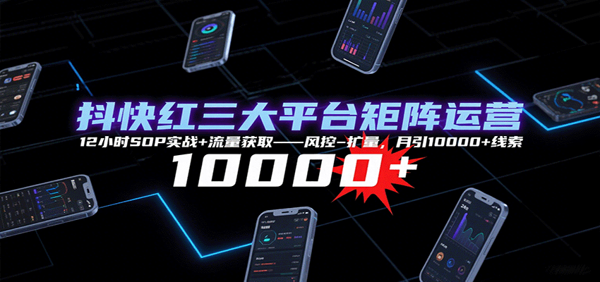 抖快红三大平台矩阵运营,12小时SOP实战+流量获取-风控-扩量,月引10000+线索-鲁班聊项目
