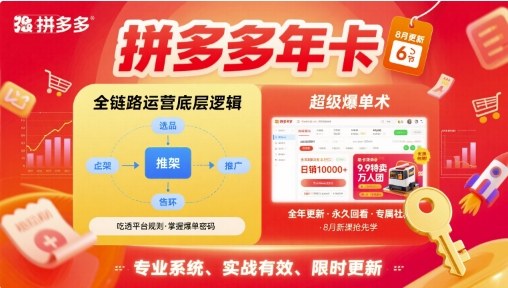 拼多多年卡【8月更新6节】拼多多全链路运营底层逻辑,超级爆单术-鲁班聊项目