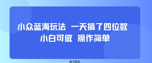小众蓝海玩法 一天搞了四位数 小白可做 操作简单-鲁班聊项目