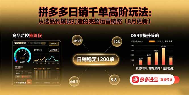 拼多多日销千单高阶玩法：从选品到爆款打造的完整运营链路(8月更新-鲁班聊项目