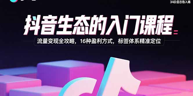 抖音生态的入门课程:流量变现全攻略,16种盈利方式,标签体系精准定位-鲁班聊项目