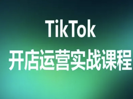TikTok开店运营实战课程，TK跨境电商实操全流程-鲁班聊项目