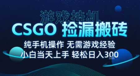 8月最新游戏搬砖，CSGO纯挂G，不需要玩游戏，实现真挂G，月入1W+【揭秘】-鲁班聊项目