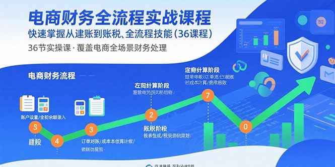 电商财务全流程实战课程:快速掌握从建账到报税的全流程技能(36节课-鲁班聊项目