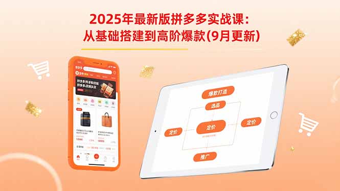 2025年最新版拼多多实战课:从基础搭建到高阶爆款(9月更新-鲁班聊项目