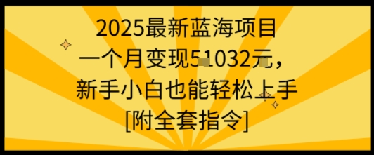 2025最新蓝海项目一个月变现1w+新手小白也能轻松上手【附全套指令】-鲁班聊项目