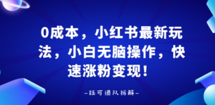 0成本，小红书最新玩法，小白无脑操作，快速涨粉变现-鲁班聊项目