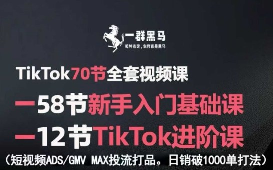 TikTok全套视频课，新手入门+进阶课，短视频ADS-GMV MAX投流打品，日销破1000单打法-鲁班聊项目