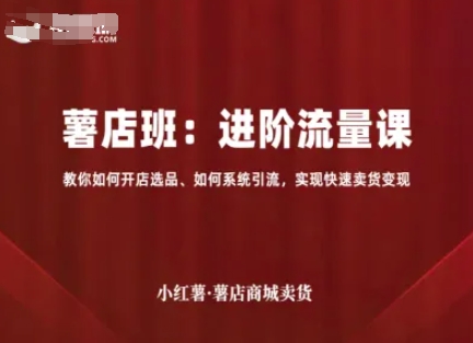 小红薯薯店商城卖货,进阶流量课,教你如何开店选品、如何系统引流,实现快速卖货变现-鲁班聊项目
