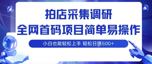拍店采集调研，全网首码项目，简单易操作， 小白也能轻松上手，多账号操作，轻松日入5张【揭秘】-鲁班聊项目