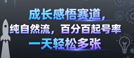成长感悟赛道，纯自然流，百分百起号率 一天轻松多张-鲁班聊项目