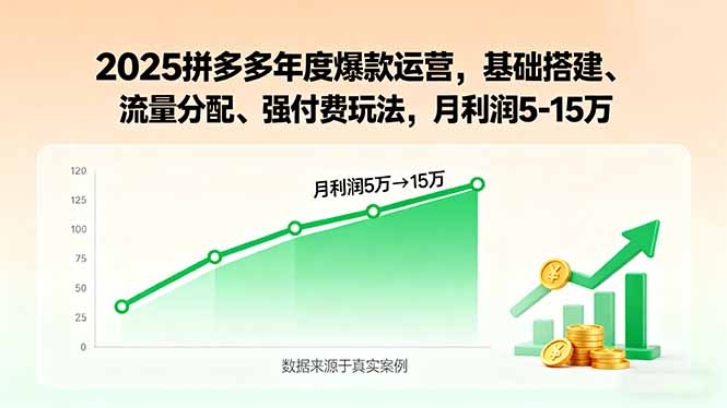 2025拼多多年度爆款运营,基础搭建、流量分配、强付费玩法,月利润5-15万-鲁班聊项目