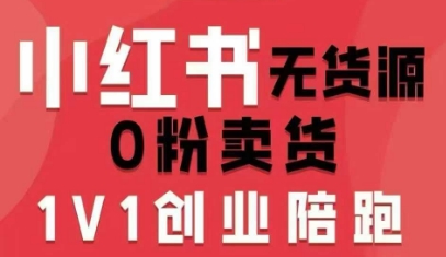 小红书无货源0粉电商课,开店准备、选品策略、笔记撰写、视频剪辑、数据分析、账号打造、资料文档-鲁班聊项目