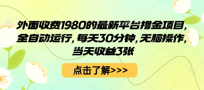 外面收费1980的最新平台撸金项目，全自动运行，每天30分钟，无脑操作，当天收益3张【揭秘】-鲁班聊项目