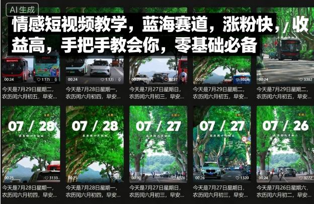情感短视频教学，蓝海赛道，涨粉快，收益高，手把手教会你，零基础必备-鲁班聊项目