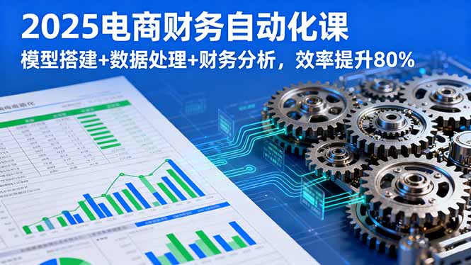 2025电商财务自动化课，模型搭建+数据处理+财务分析，效率提升80%-鲁班聊项目