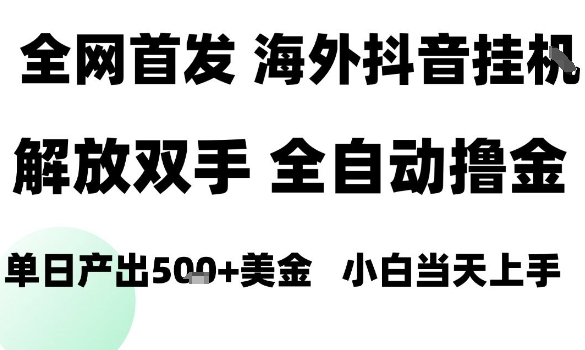 海外抖音无人直播,单日产出1.5k+,长期稳定,新手可玩,无脑操作【揭秘】-鲁班聊项目
