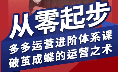 拼多多运营进阶系统课,从零起步,多多运营进阶体系课,破茧成蝶的运营之术(更新9月)-鲁班聊项目