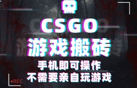 CSGO游戏挂G捡漏，单日扫货5张+，年底小高峰上车可吃肉，手机即可操作，兼职副业创业网创【揭秘】-鲁班聊项目