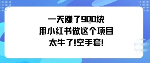 一天挣了9张用小红书做这个项目太牛了，空手套-鲁班聊项目