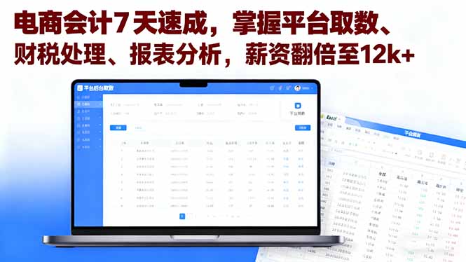 电商会计7天速成，掌握平台取数、财税处理、报表分析，薪资翻倍至12k+-鲁班聊项目