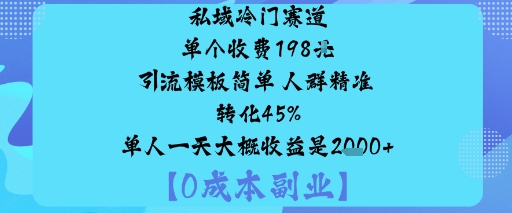 私域冷门赛道:单个收费198米引流模板简单人群精准转化45%单人一天大概收益是1k+-鲁班聊项目