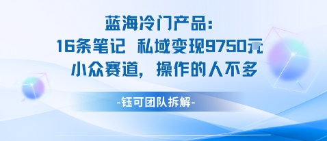 蓝海项目：16条笔记私域变现9750米小众赛道操作的人不多-鲁班聊项目